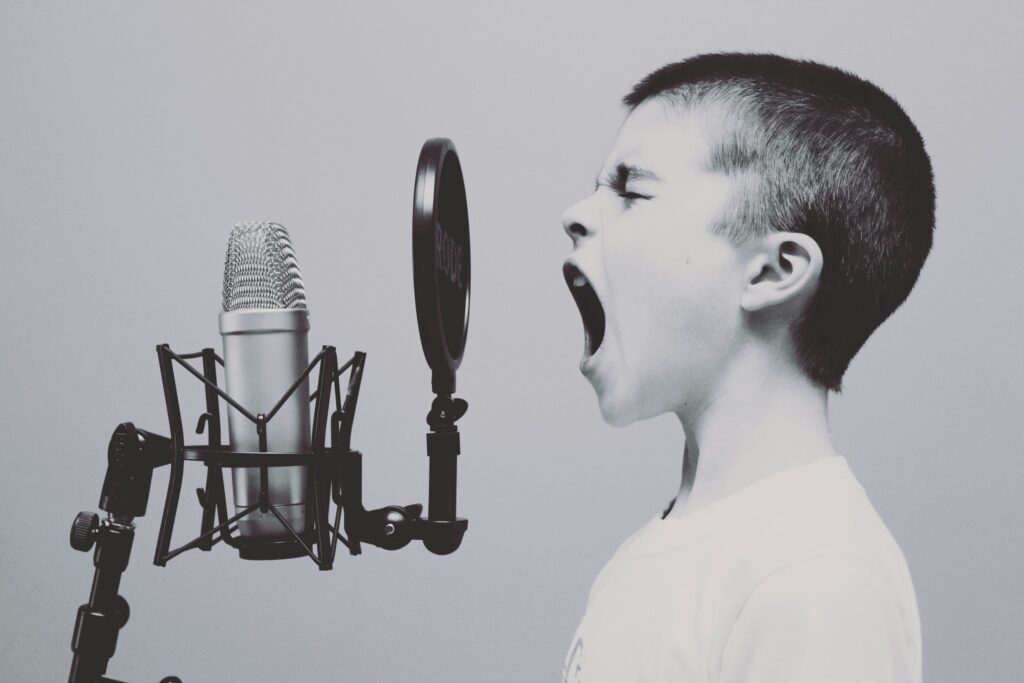 author's voice